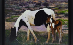 New-Foal