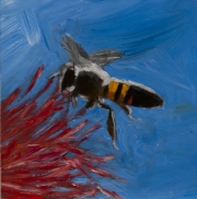 Hovering Bee