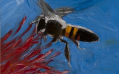 Hovering Bee