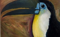 Toucan 3