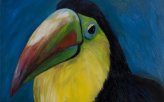 Toucan 1