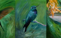 Hummingbird Triptych