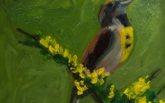 Meadow Lark