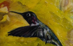 Hummingbird