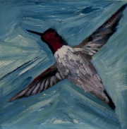 Hummingbird 5
