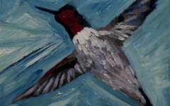 Hummingbird 5