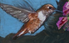 Hummingbird 6