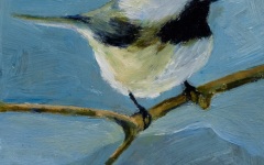 Chickadee