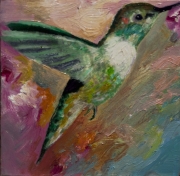 Hummingbird 11
