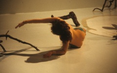 1987-performance-in-tucson-museum-of-art-installation