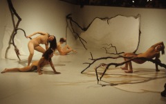 1987-stonewall-exhibition-installation-tucson-museum-of-art