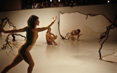 1988-2-stonewall-4-exhibition-tucson-museum-of-art-performance-installation