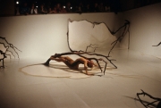 1988-3-stonewall-exhibition-performance