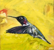 Annas Hummingbird 2