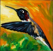 Anna Hummingbird 3