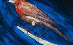 Bird 3