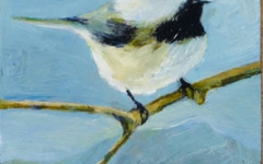 Black Capped Chickadee 2