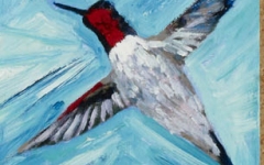 Broad Tailed Hummingbird