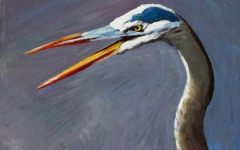 Great Blue Heron 2