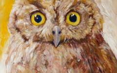 Owl 1