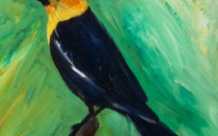 Yellow Headed Black Bird