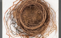 nest