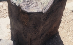 1997-desert-fragments-bronze