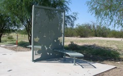 Prickly Pear Silhouette Bench