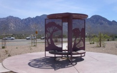 Desert Flower Bench