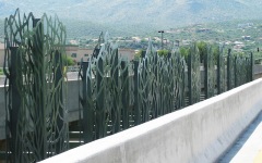 Palo Verde Silhouettes