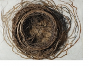 2005-nest-roots-paint-and-board-8x10x6