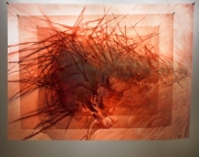 2007-1-corazon-installation-of-translucent-photo-layers